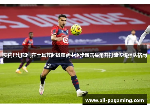 费内巴切如何在土耳其超级联赛中逐步崭露头角并打破传统强队格局